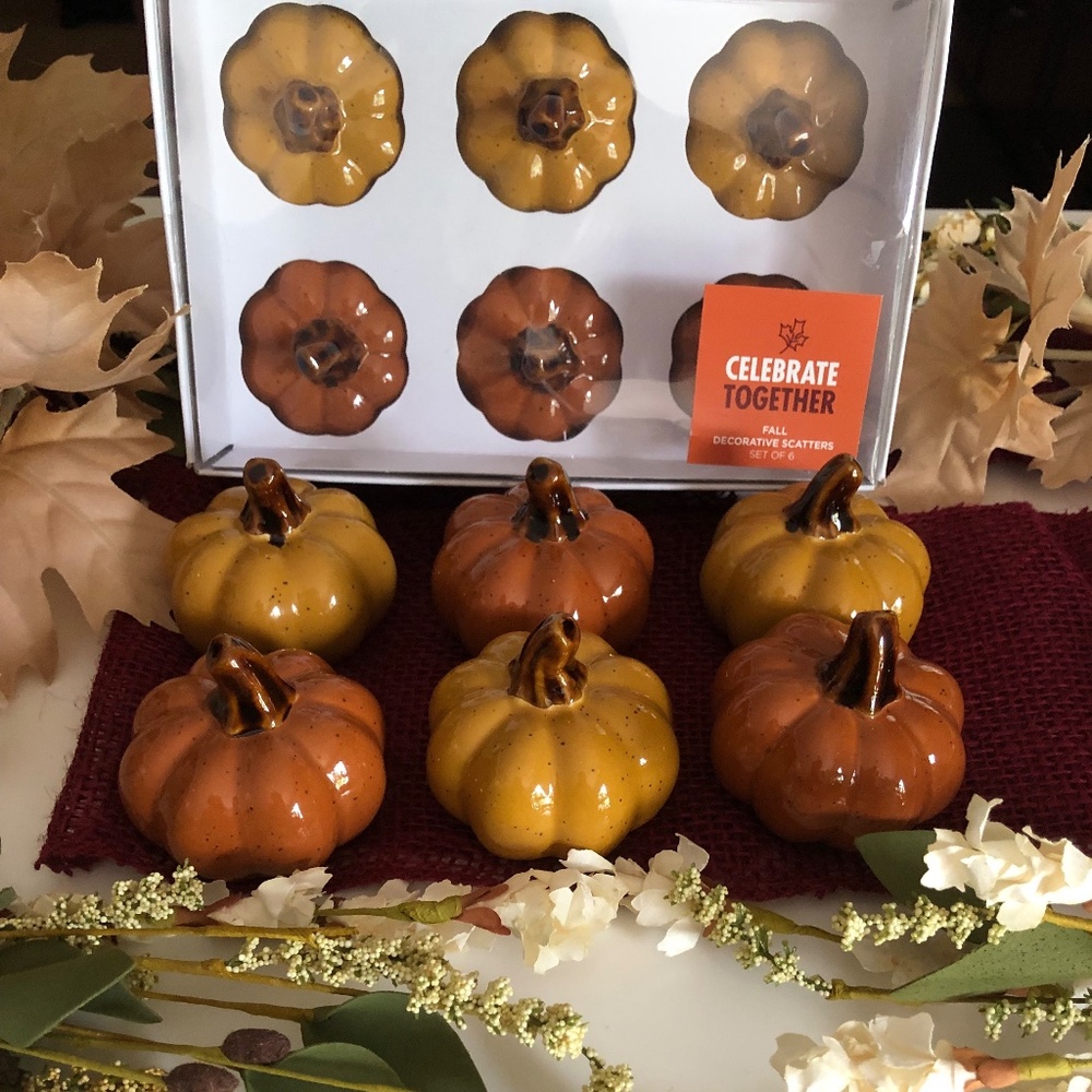 NEW Ceramic Pumpkins Fall Table Decor Centerpieces set of 6
